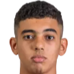 库图内